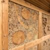 IP WA 01 Insectenwand | 6 IP WA 01 Insectenwand | 5