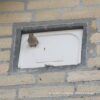 IB MU 07 Huismus inbouw nestkast enkel (nieuwbouw) | 11 IB MU 06/07 huismus