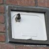 IB MU 07 Huismus inbouw nestkast enkel (nieuwbouw) | 10 IB MU 06/07 huismus