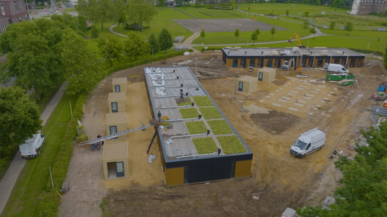 dakbloemenweide Inheemse planten met Dakbloemenweide | 3