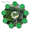 Groene gevels voor biodiversiteit | 3 Een groene gevel, een waardevolle microhabitat