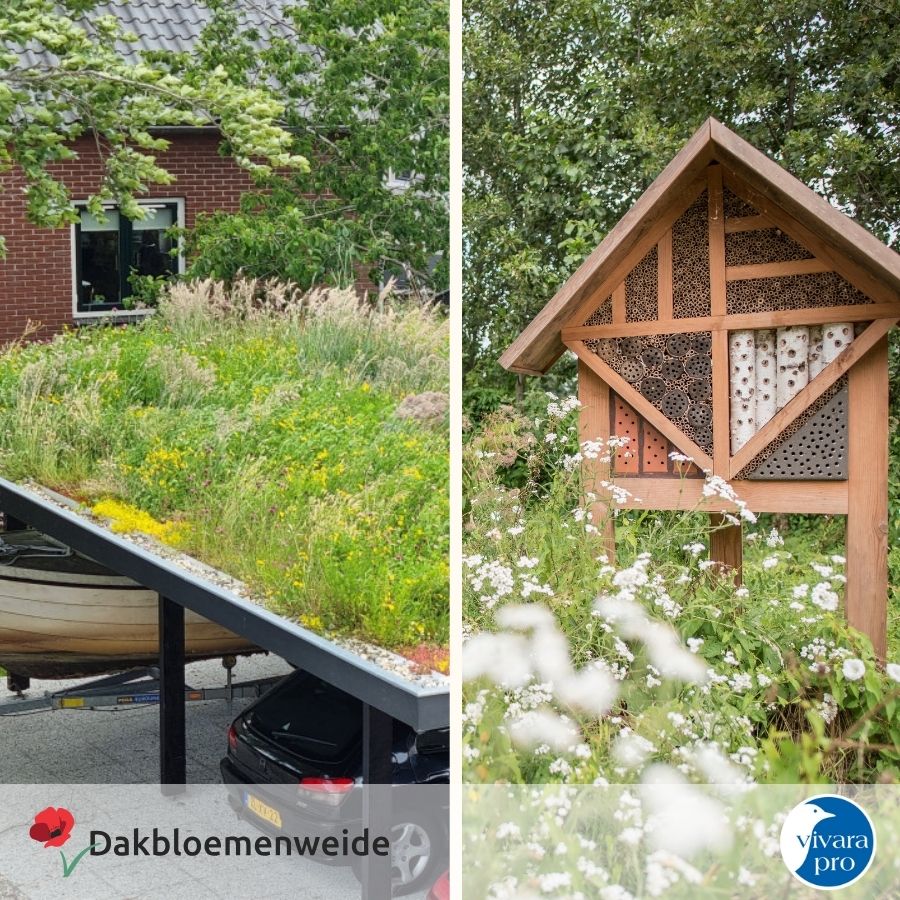 Samenwerking Dakbloemenweide (1) Nieuwe samenwerking Vivara Pro en Dakbloemenweide