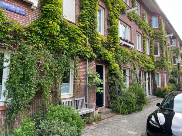 Afbeelding van een huis met een groene gevel, een klimop.