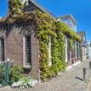 Groene gevels voor biodiversiteit | 6 Groene gevels voor biodiversiteit | 5