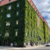 Groene gevels voor biodiversiteit | 7 Afbeelding van een gebouw met een groene gevel c.q. klimop. Een uniek voorbeeld van het integreren van de natuur in de bebouwde omgeving.