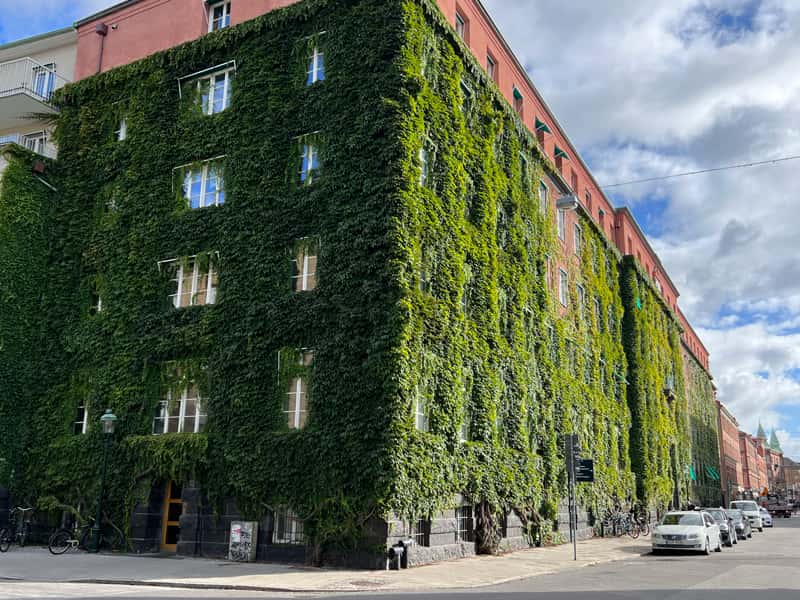 Groene_gevel Afbeelding van een gebouw met een groene gevel c.q. klimop. Een uniek voorbeeld van het integreren van de natuur in de bebouwde omgeving.