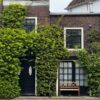 Groene gevels voor biodiversiteit | 2 Groene gevels voor biodiversiteit - Vivara Pro