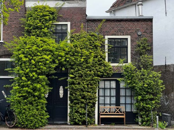 Groene gevels voor biodiversiteit | 1 Groene gevels voor biodiversiteit - Vivara Pro