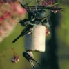 TV VO 05 Pindacake met insecten 1000ml | 6 TV VO 05 Pindacake met insecten 1000ml | 5