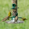 TV VO 10 Green+ Puur voedermix 2,5 kg (Biologisch) | 10 TV VO 10 Green+ Puur voedermix 2,5 kg (Biologisch) | 9