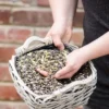 TV VO 10 Green+ Puur voedermix 2,5 kg (Biologisch) | 8 TV VO 10 Green+ Puur voedermix 2,5 kg (Biologisch) | 7