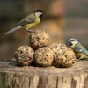 TV VO 07 Vetbollen suprême - 50 stuks | 10 TV VO 07 Vetbollen suprême - 50 stuks | 9