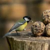TV VO 07 Vetbollen suprême - 50 stuks | 6 TV VO 07 Vetbollen suprême - 50 stuks | 5