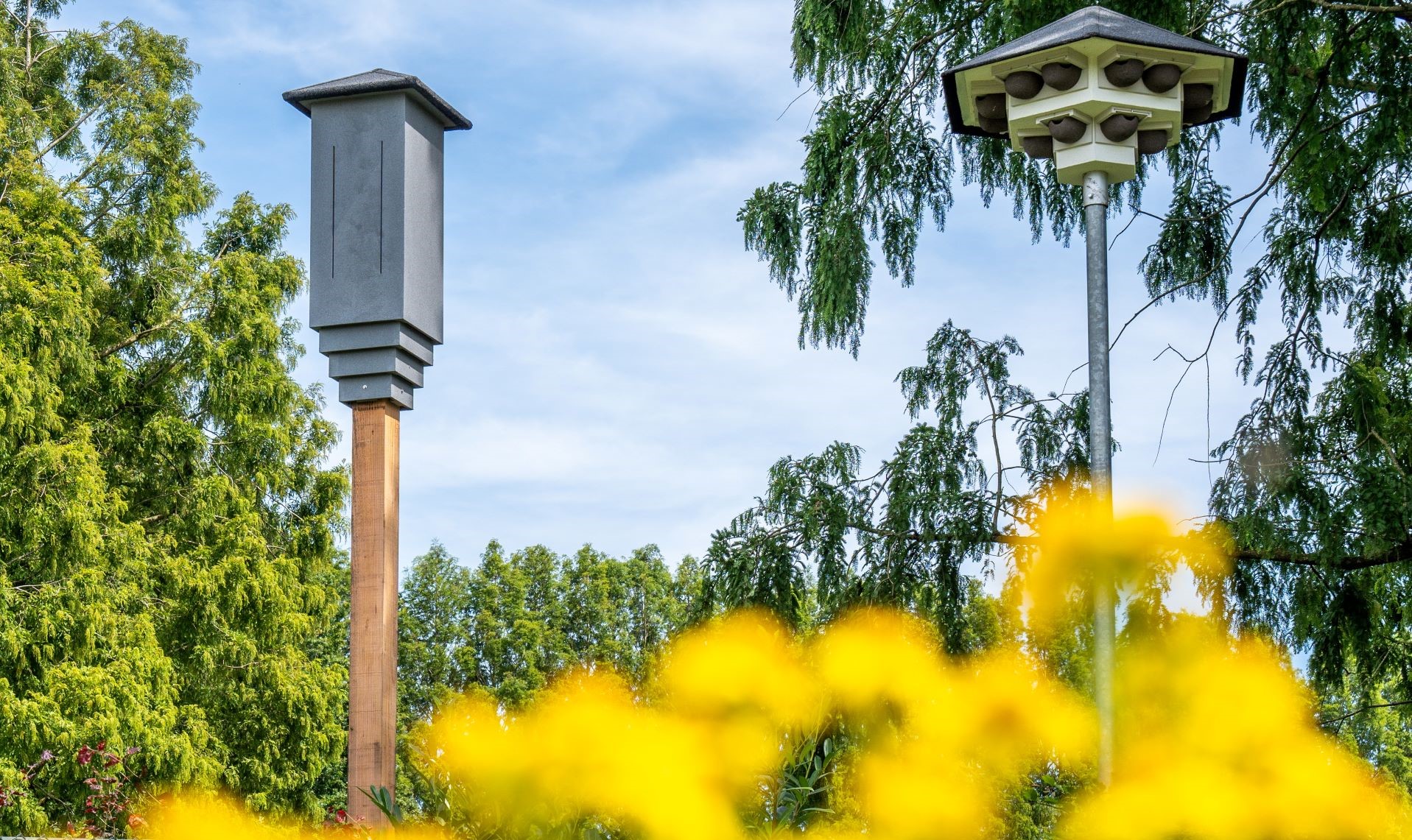 Vleermuizen boomkast - Vivara Pro 2 Samenwerking Sweco & Vivara Pro | 2