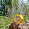 IP BL 05 Insectenblok Geel | 3