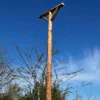 RV ZP 01 Roofvogelzitpaal 6M | 7