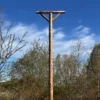 RV ZP 01 Roofvogelzitpaal 6M | 5