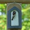Vogel geland in een nestkast gemaakt van WoodStone®, oftewel houtbeton van Vivara Pro