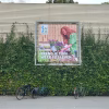Gevelrekken voor groen | 6 GreenFrames