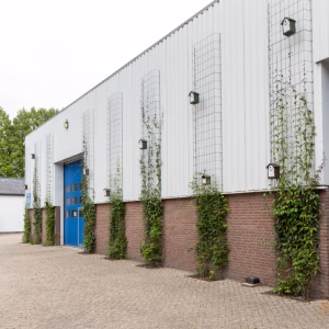 Gevelrekken voor groen met nestkasten van vivara Pro aan het frame verbonden.