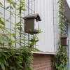 Gevelrekken voor groen | 5 Greenframe