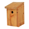 NK LA 01 Nestkast Pimpelmees | 13