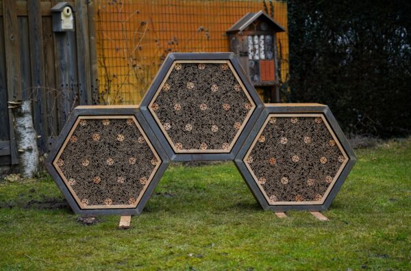 Afbeelding van het Hex Insectenhotel gekoppeld met 2 andere units voor een totaal van 3 units. Een product en voorziening van Vivara Pro dat insecten een veilig en duurzaam verblijf biedt en bijdraagt aan natuurinclusief bouwen
