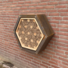 IP WA 06 Insectenwand Hex groot | 7
