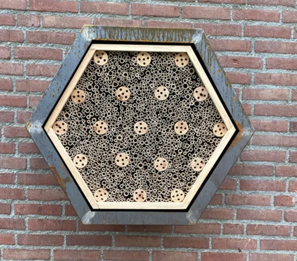 Afbeelding van het Hex Insectenhotel welke is gemonteerd aan de muur van een gebouw. Een product en voorziening van Vivara Pro dat insecten een veilig en duurzaam verblijf biedt en bijdraagt aan natuurinclusief bouwen