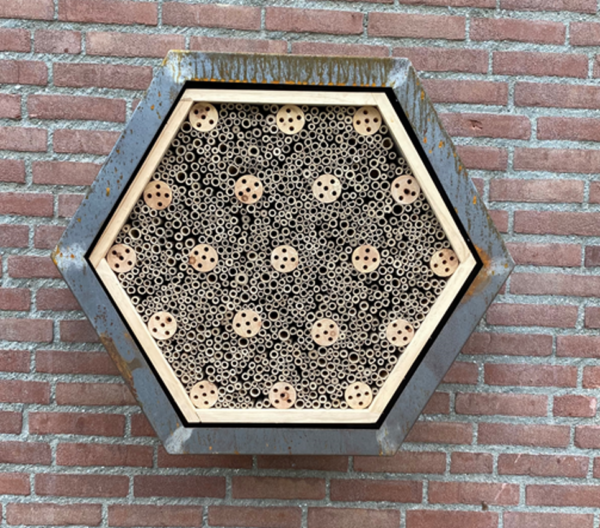 Afbeelding van het Hex Insectenhotel welke is gemonteerd aan de muur van een gebouw. Een product en voorziening van Vivara Pro dat insecten een veilig en duurzaam verblijf biedt en bijdraagt aan natuurinclusief bouwen