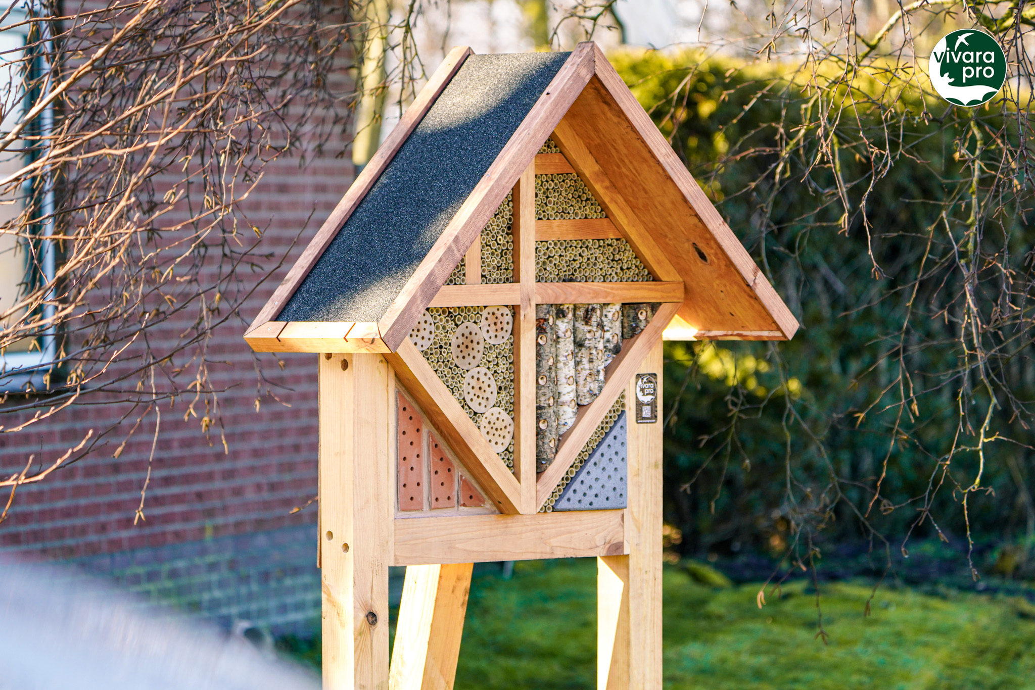 VIV04340 Meer biodiversiteit op boerenerven op Schiermonnikoog | 3