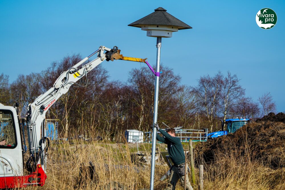 Plaatsing_Til Plaatsing van een spreeuwentil van Vivara Pro