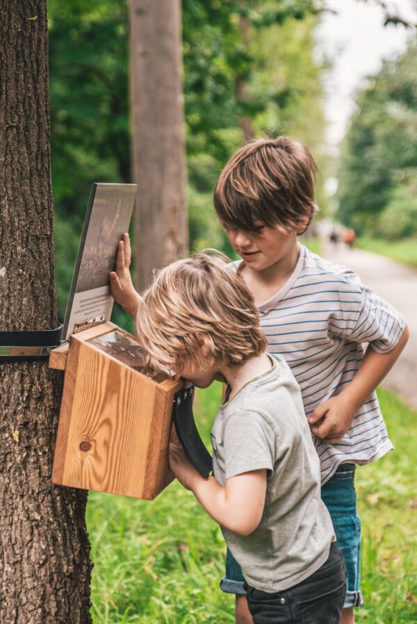 Afbeelding van een aantal kinderen die een informatiebord in een nestkast lezen op een belevingspad.