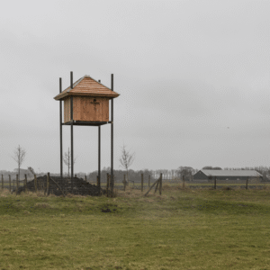 Afbeelding van een maatwerk uilentil voor de kerkuil in de gemeente Purmerend.