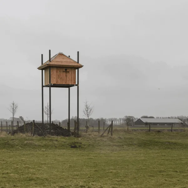 Maatwerk uilentil | 1 Afbeelding van een maatwerk uilentil voor de kerkuil in de gemeente Purmerend.