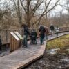 Vlonderroute | 2 Afbeelding van meerdere mensen die op een vlonderpad lopen en stilstaan in een natuurgebied