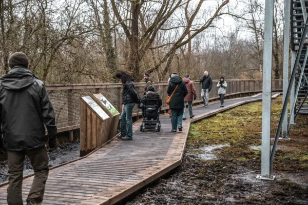 Vlonderroute | 1 Afbeelding van meerdere mensen die op een vlonderpad lopen en stilstaan in een natuurgebied