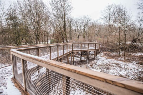 Afbeelding van een vlonderpad dat zich boven de natuur bevindt
