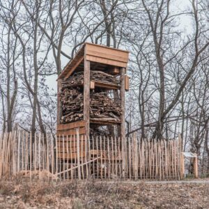 Afbeelding van een levende faunatoren gemaakt van FSC-gecertifieerd hout door Vivara Pro