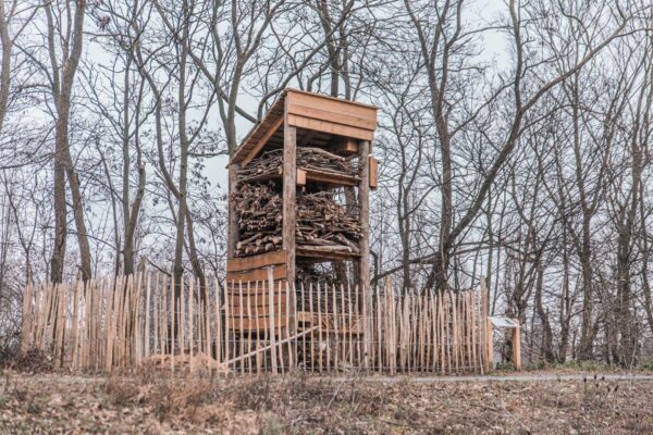 Levende Faunatoren | 1 Afbeelding van een levende faunatoren gemaakt van FSC-gecertifieerd hout door Vivara Pro