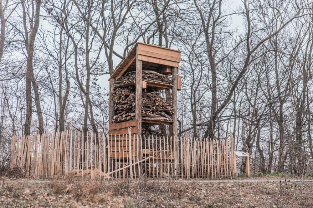 faunatoren01 Afbeelding van een levende faunatoren gemaakt van FSC-gecertifieerd hout door Vivara Pro