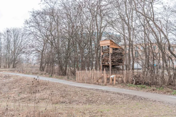 Afbeelding van een levende faunatoren ergens in een bos.