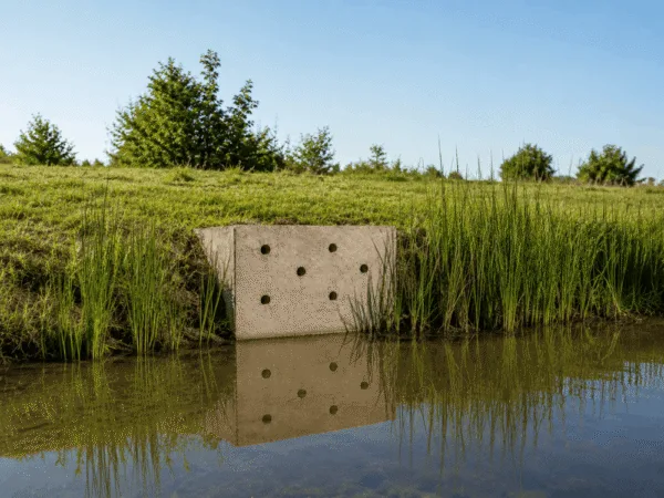 IJsvogelwand | 1 Afbeelding van een render van een ijsvogelwand van Vivara Pro die is ingeouwd in de oever van een waterbron.