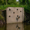 IJsvogelwand | 3 Render van een ijsvogelwand van Vivara Pro waarin ook een IJsvogel te zien is.