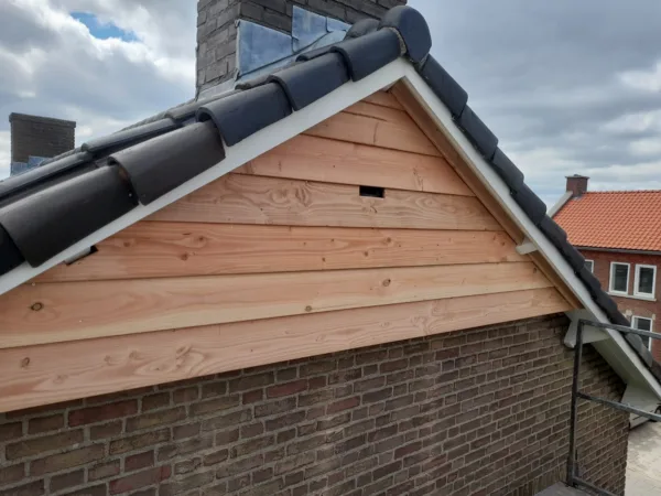 Afbeelding van de VK GB 01 Vleermuis gevelbekleding geïntegreerd in een gevel. Het product is gemaakt van hout door Vivara Pro.
