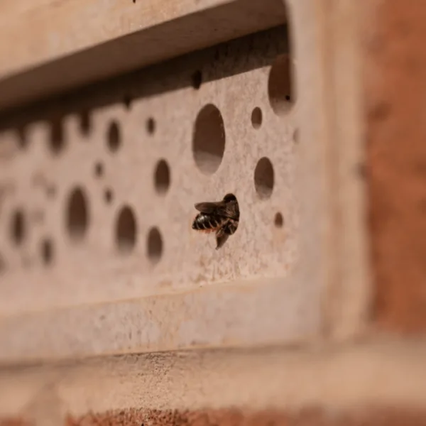 bee brick