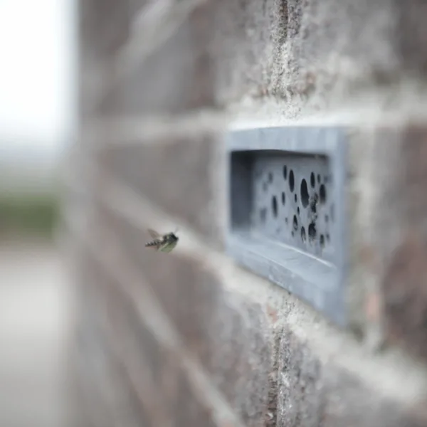 Bee Birck